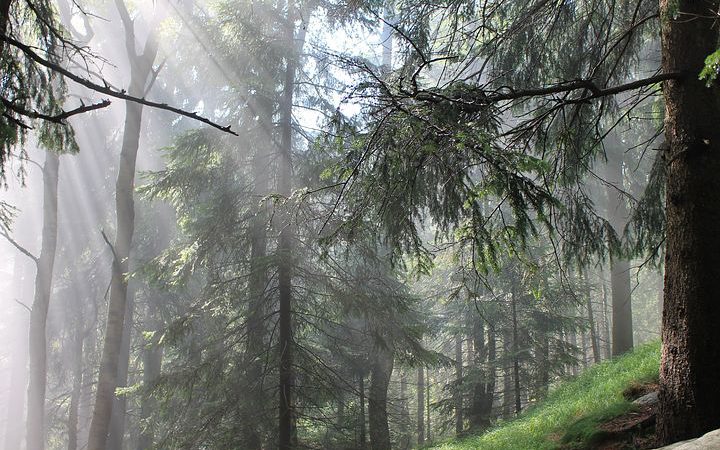 Zajazd u Hermanów: obiekt najlepszy na kameralny pobyt na Szlaku Orlich Gniazd