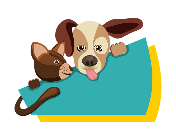 Korzystne zasady ubezpieczenia dla psa online