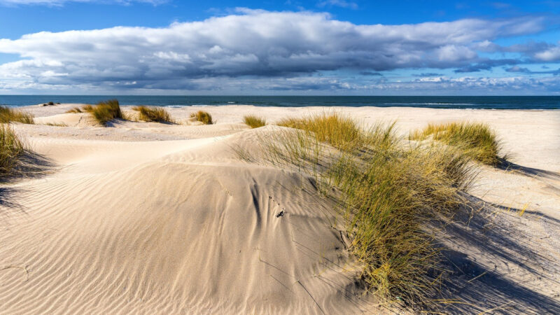 Co interesującego może zaoferować Lubiatowo odwiedzającym